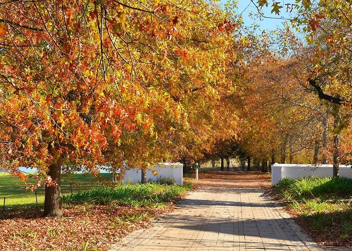 Bo La Motte Farm Cottages