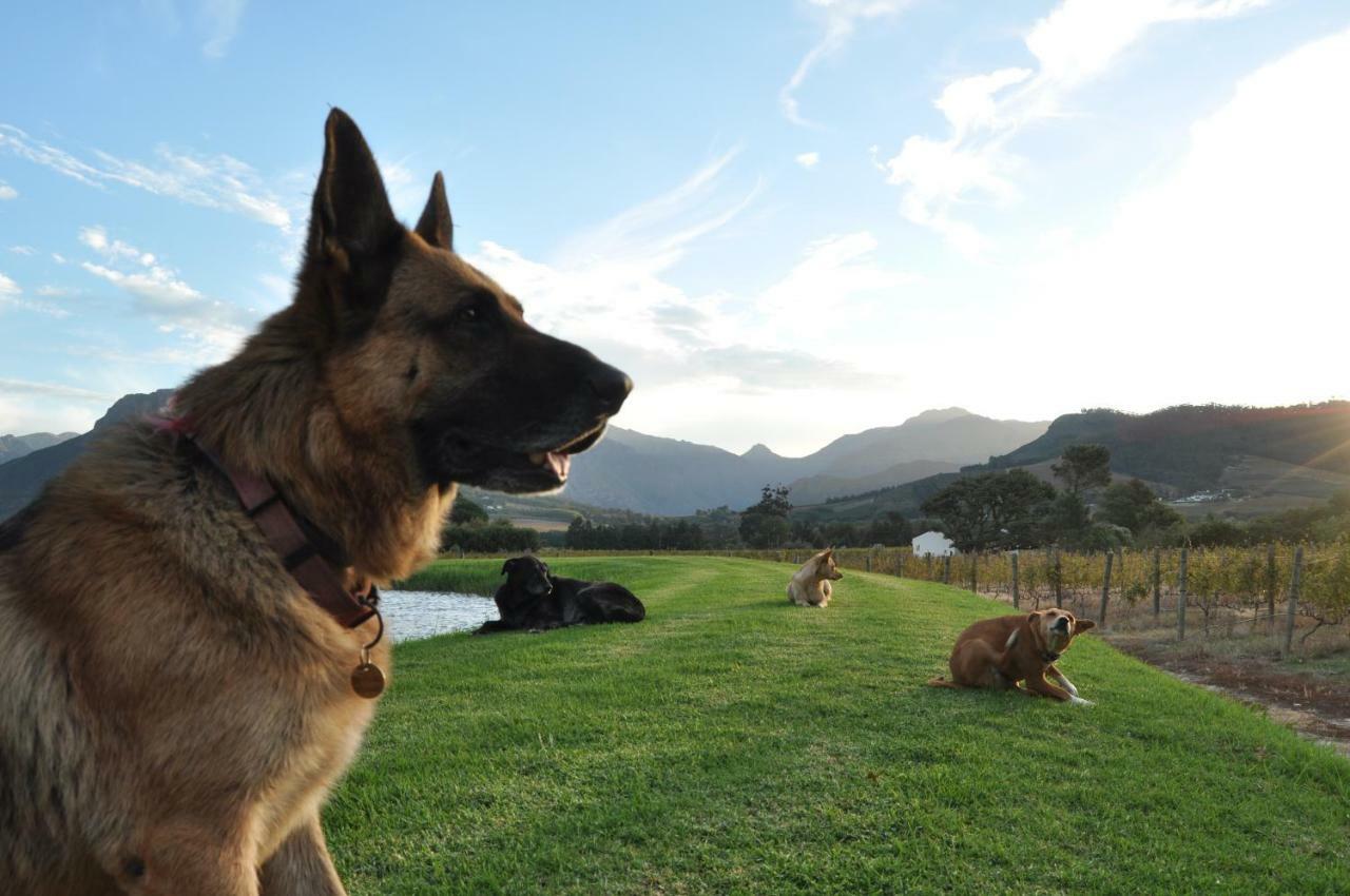 Bo La Motte Farm Ferienhaus Franschhoek